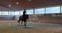 Reitstunde Reitanlage Klosterhof Pillenreuth