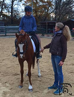 Abreiteplatz-Unterricht Reitanlage Klosterhof-Pillenreuth